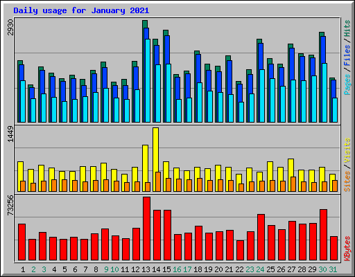 Daily usage for January 2021