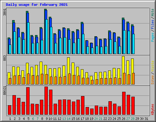 Daily usage for February 2021