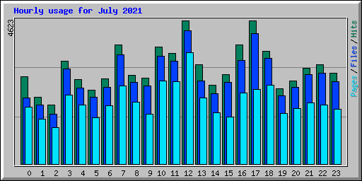 Hourly usage for July 2021