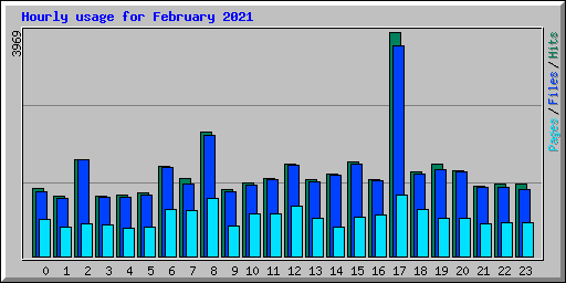 Hourly usage for February 2021