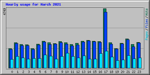 Hourly usage for March 2021