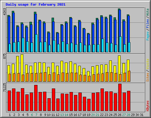Daily usage for February 2021