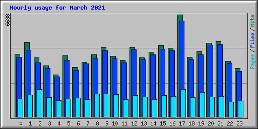 Hourly usage for March 2021