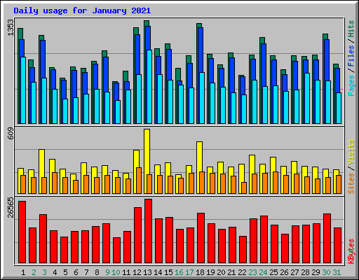 Daily usage for January 2021