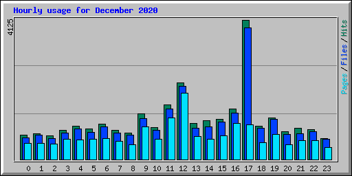 Hourly usage for December 2020