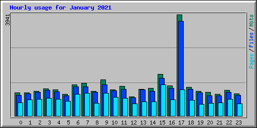 Hourly usage for January 2021