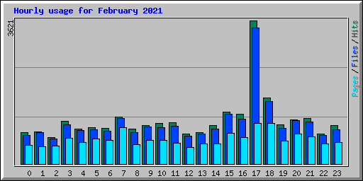 Hourly usage for February 2021