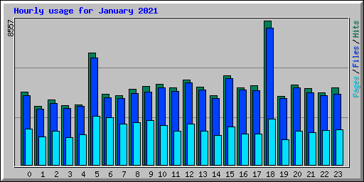 Hourly usage for January 2021