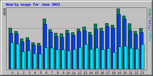 Hourly usage for June 2021