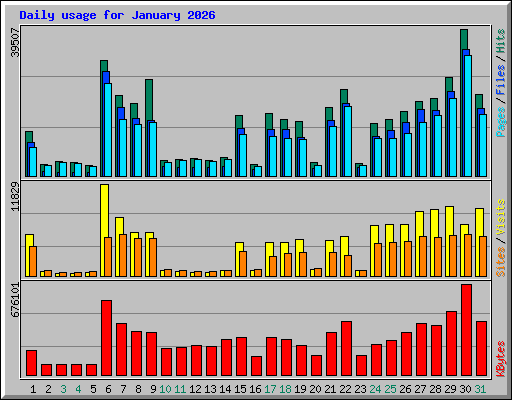 Daily usage for January 2026