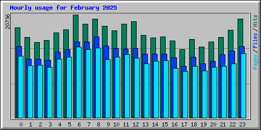 Hourly usage for February 2025