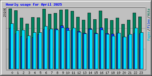 Hourly usage for April 2025