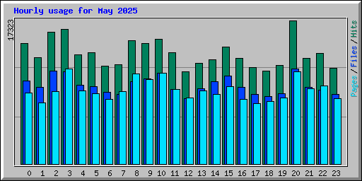 Hourly usage for May 2025