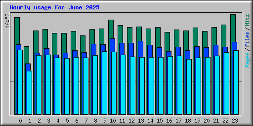 Hourly usage for June 2025