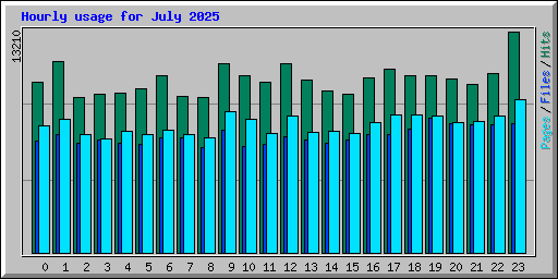 Hourly usage for July 2025