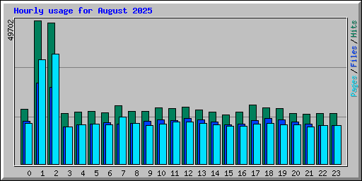 Hourly usage for August 2025