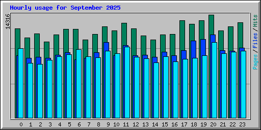 Hourly usage for September 2025