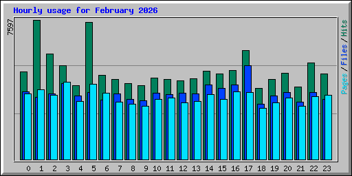 Hourly usage for February 2026