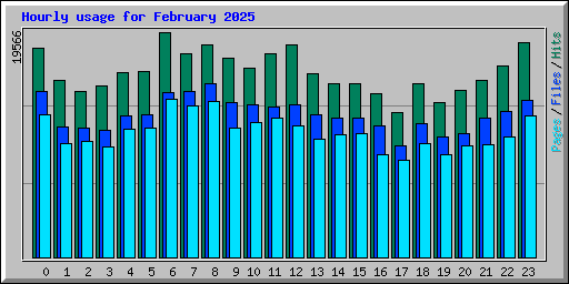 Hourly usage for February 2025