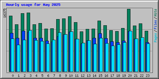 Hourly usage for May 2025