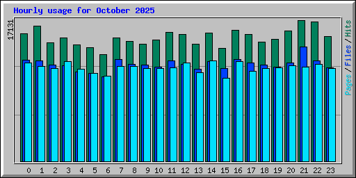Hourly usage for October 2025