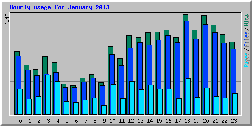 Hourly usage for January 2013