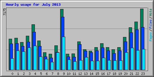 Hourly usage for July 2013