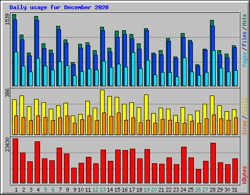 Daily usage for December 2020