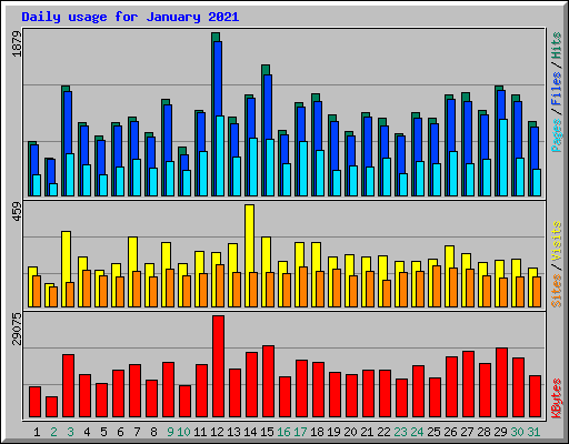 Daily usage for January 2021