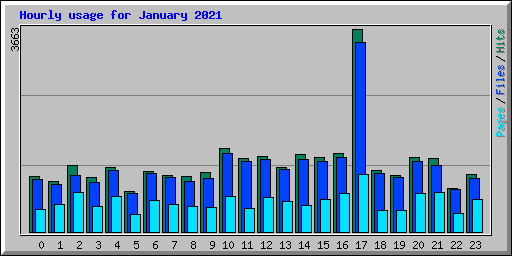 Hourly usage for January 2021