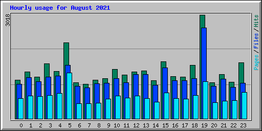 Hourly usage for August 2021