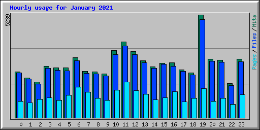 Hourly usage for January 2021