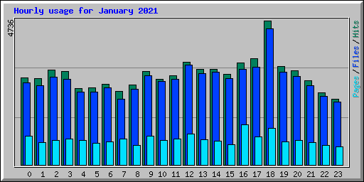 Hourly usage for January 2021