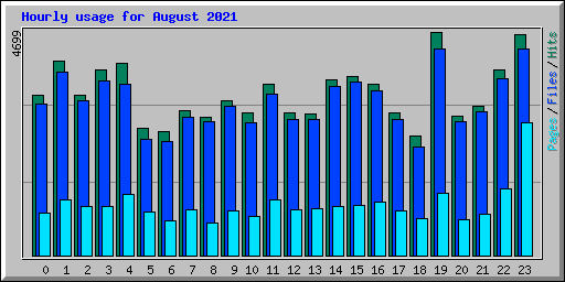 Hourly usage for August 2021