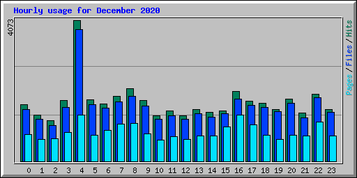 Hourly usage for December 2020