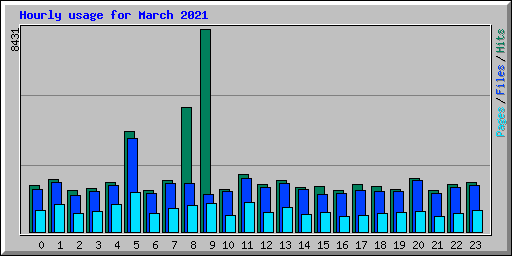 Hourly usage for March 2021