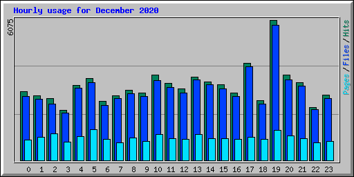 Hourly usage for December 2020