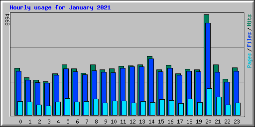 Hourly usage for January 2021