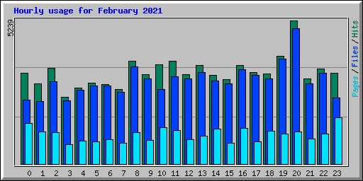 Hourly usage for February 2021