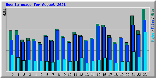 Hourly usage for August 2021